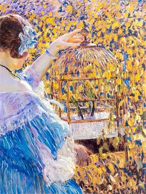 深宅蔷薇猎心记